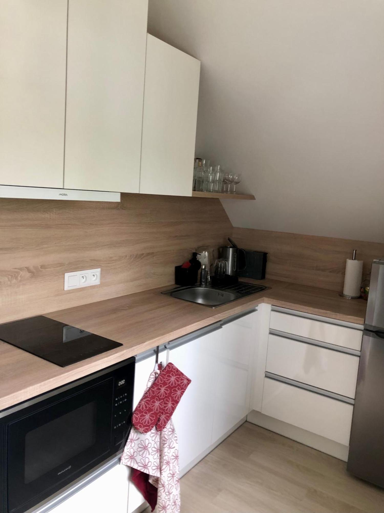 Apartman Krusne Hory - Erzgebirge Horní Blatná Exteriér fotografie