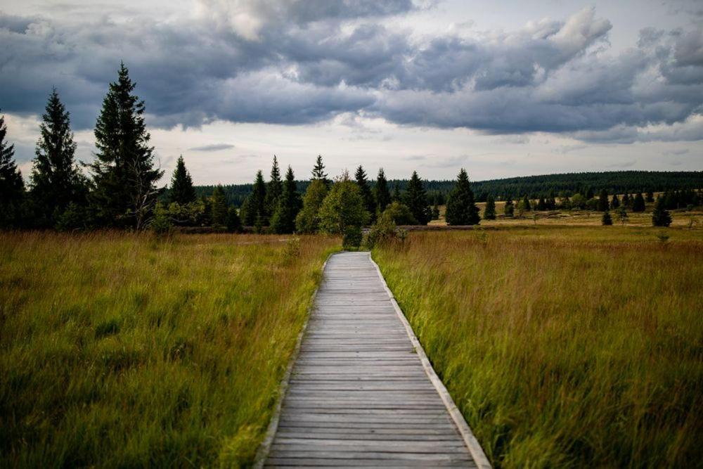 Apartman Krusne Hory - Erzgebirge Horní Blatná Exteriér fotografie